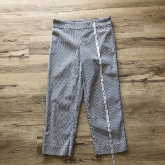 Cleo Lightweight Striped Cropped Pants - Picture 4 of 6